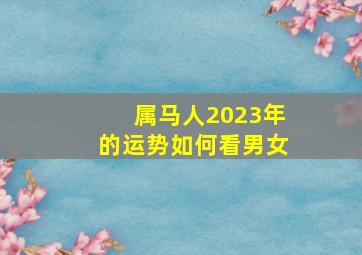 属马人2023年的运势如何看男女,属马2023年的运势及运程