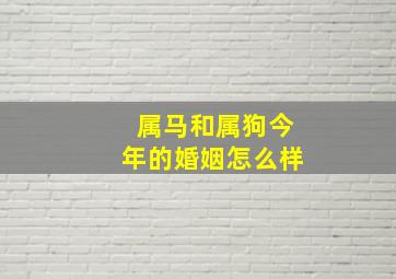 属马和属狗今年的婚姻怎么样,属马和属狗的相配吗坎坷较多但无大碍