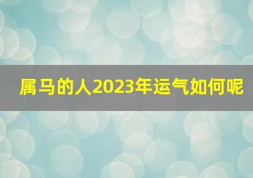 属马的人2023年运气如何呢,2002年属马人2023年运势查询属马人2023年财运怎样