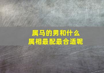 属马的男和什么属相最配最合适呢,属马的男和属什么的相配最好