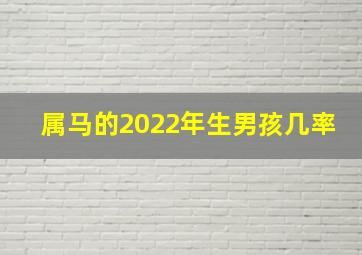 属马的2022年生男孩几率,2021属马生男孩还是女孩