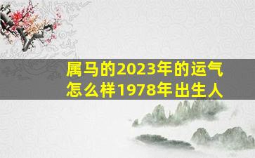 属马的2023年的运气怎么样1978年出生人,2023属马的运势和财运1978年