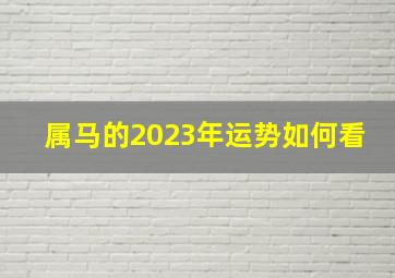 属马的2023年运势如何看