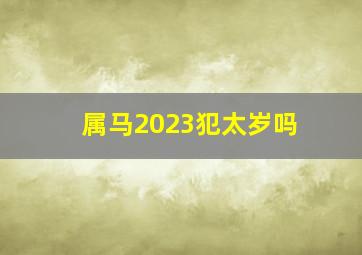 属马2023犯太岁吗,2023属马犯太岁怎样化解摆不祥物冲淡太岁