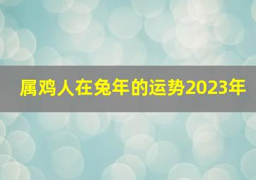 属鸡人在兔年的运势2023年,鸡生肖2023年全年运势详解