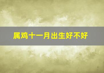 属鸡十一月出生好不好,