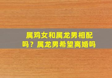 属鸡女和属龙男相配吗？属龙男希望离婚吗