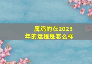 属鸡的在2023年的运程是怎么样,93年属鸡2023年的运势