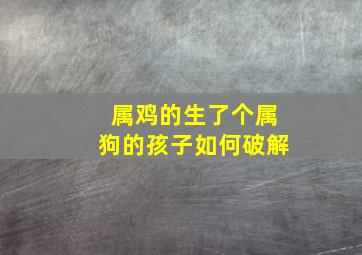 属鸡的生了个属狗的孩子如何破解,兔男和鸡女生了属狗宝宝