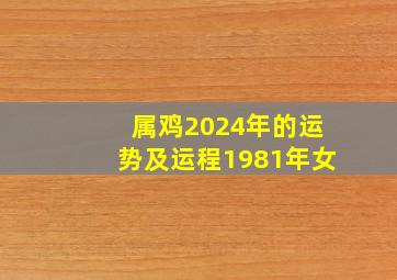 属鸡2024年的运势及运程1981年女