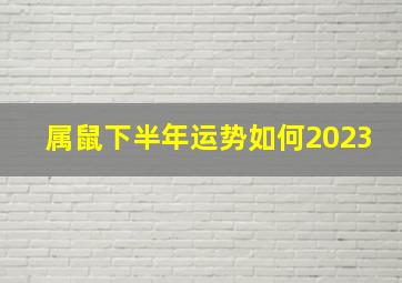 属鼠下半年运势如何2023