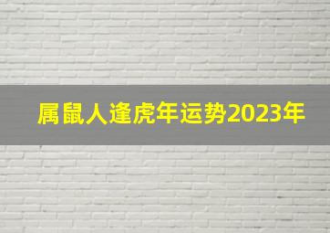 属鼠人逢虎年运势2023年,1972年的鼠在2023年的运势