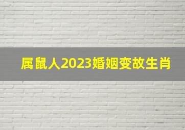 属鼠人2023婚姻变故生肖,96年属鼠男2023年的运势和婚姻