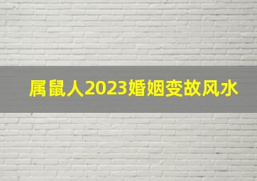 属鼠人2023婚姻变故风水,84年属鼠2023年运势及运程详解