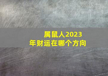 属鼠人2023年财运在哪个方向,属鼠人2023年每月运势运程