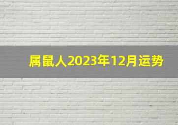 属鼠人2023年12月运势,生肖鼠2023年运势大全