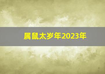 属鼠太岁年2023年,属鼠人2021年太岁