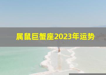 属鼠巨蟹座2023年运势,2023年巨蟹座全年运势详解