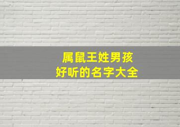 属鼠王姓男孩好听的名字大全,男宝宝起名大全2024属鼠王姓