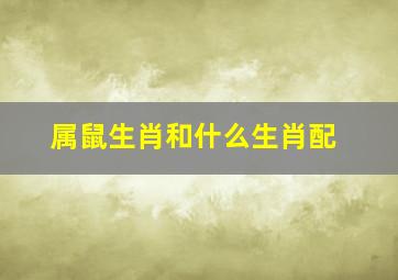 属鼠生肖和什么生肖配,属鼠的和什么属相最配