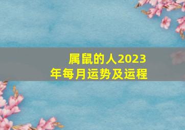 属鼠的人2023年每月运势及运程,2023属鼠每月运势详解整体向好桃花运佳