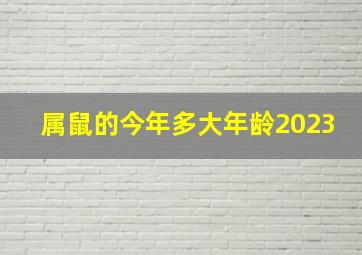 属鼠的今年多大年龄2023,属什么的2023年27岁