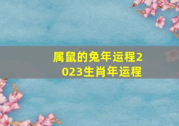 属鼠的兔年运程2023生肖年运程,1996年出生属鼠人2023年全年运势生肖鼠兔年每月运势