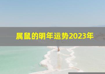 属鼠的明年运势2023年,2023年属鼠人全年运势