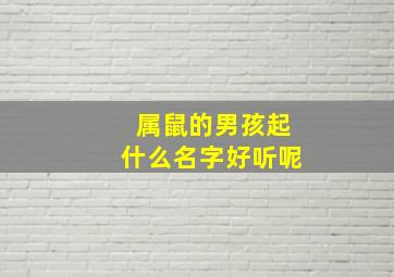 属鼠的男孩起什么名字好听呢,属鼠的男孩子起名大全