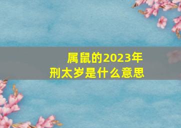 属鼠的2023年刑太岁是什么意思,刑太岁是什么意思属鼠怎么化解