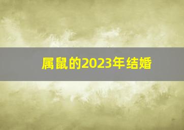 属鼠的2023年结婚,属鼠的人2023年结婚利月哪月结婚好