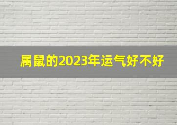 属鼠的2023年运气好不好,属鼠2023年运势及运程-2023年属鼠人的全年每月运势