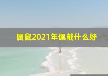 属鼠2021年佩戴什么好,属鼠人2021年佩戴什么开运吉祥物：追名逐利