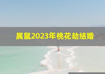 属鼠2023年桃花劫结婚,96年属鼠的2023年有一劫感情运势有影响