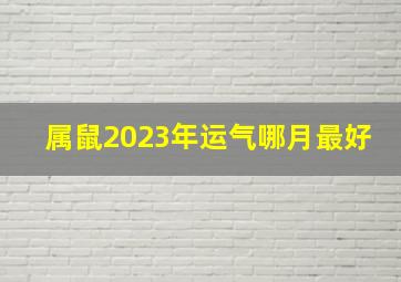 属鼠2023年运气哪月最好,大师详解：属鼠2023年全年运势运程及每月运程