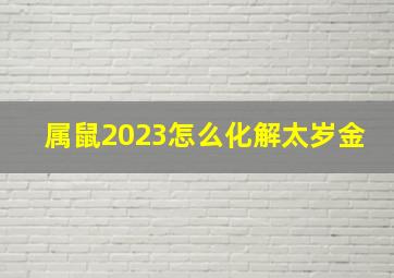 属鼠2023怎么化解太岁金,2023年犯太岁的生肖以及化解方法