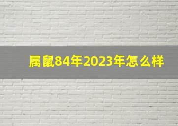 属鼠84年2023年怎么样,84年出生属鼠的人2023年多少岁