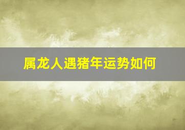 属龙人遇猪年运势如何,生肖龙逢猪年运程怎样