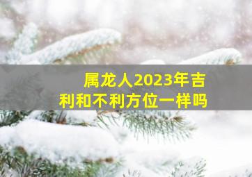 属龙人2023年吉利和不利方位一样吗,2023年风水吉位