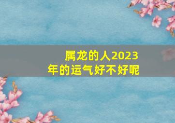 属龙的人2023年的运气好不好呢,属龙2023年运程及运势详解2023年属龙人全年每月运势