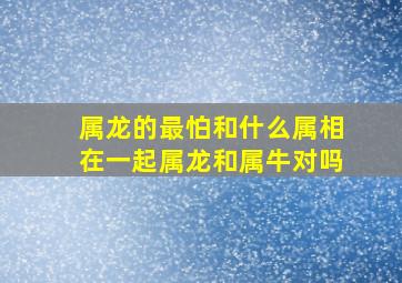 属龙的最怕和什么属相在一起属龙和属牛对吗