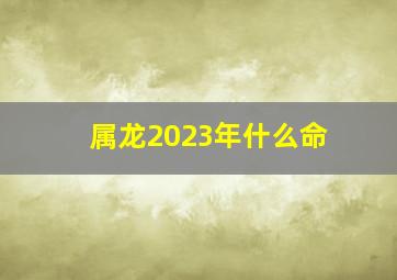 属龙2023年什么命,属龙人2023年运势及运程每月运程