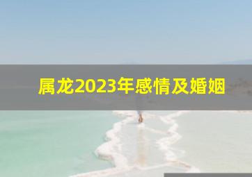 属龙2023年感情及婚姻,2023属龙的婚姻如何有哪些详细表现