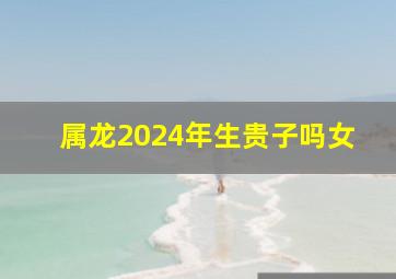 属龙2024年生贵子吗女