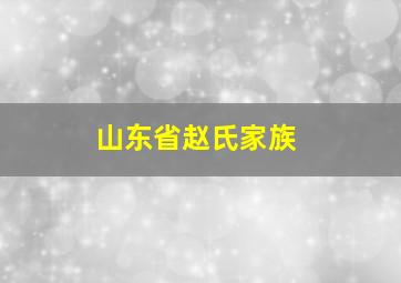 山东省赵氏家族,山东省赵氏家族排名