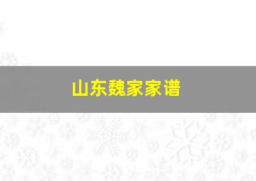 山东魏家家谱,山东魏家家谱图片