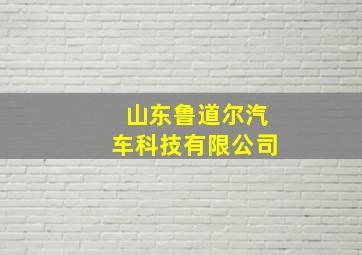 山东鲁道尔汽车科技有限公司,山东鲁道环保科技有限公司