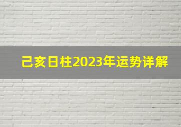 己亥日柱2023年运势详解,己亥日柱女命二婚注定二婚的女命