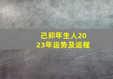 己卯年生人2023年运势及运程,属兔的2023年运势运程