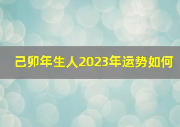 己卯年生人2023年运势如何,属兔人2023年全年运势运程女性